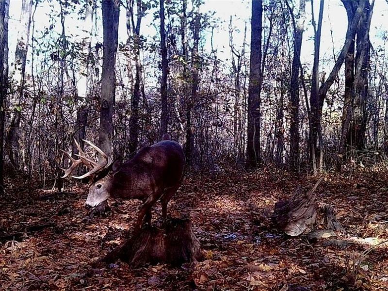 ZANE Road, Lore City, OH 43755 Photo 10