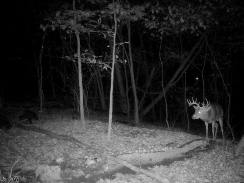 ZANE Road, Lore City, OH 43755 Photo 11