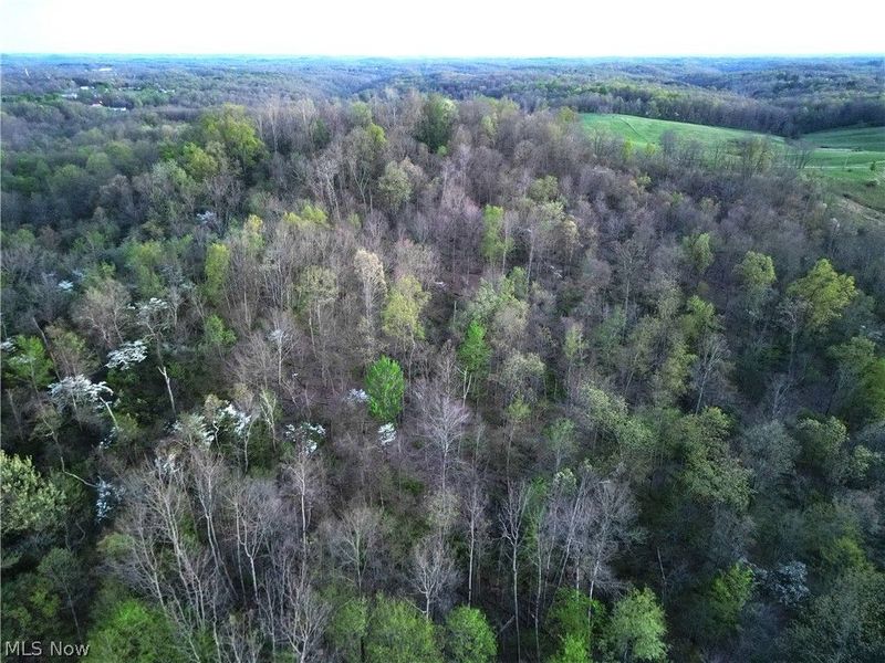 ZANE Road, Lore City, OH 43755 Photo 4