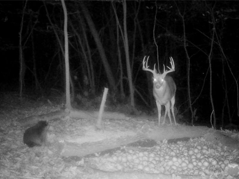 ZANE Road, Lore City, OH 43755 Photo 9