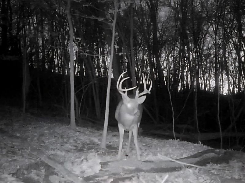 ZANE Road, Lore City, OH 43755 Photo 10
