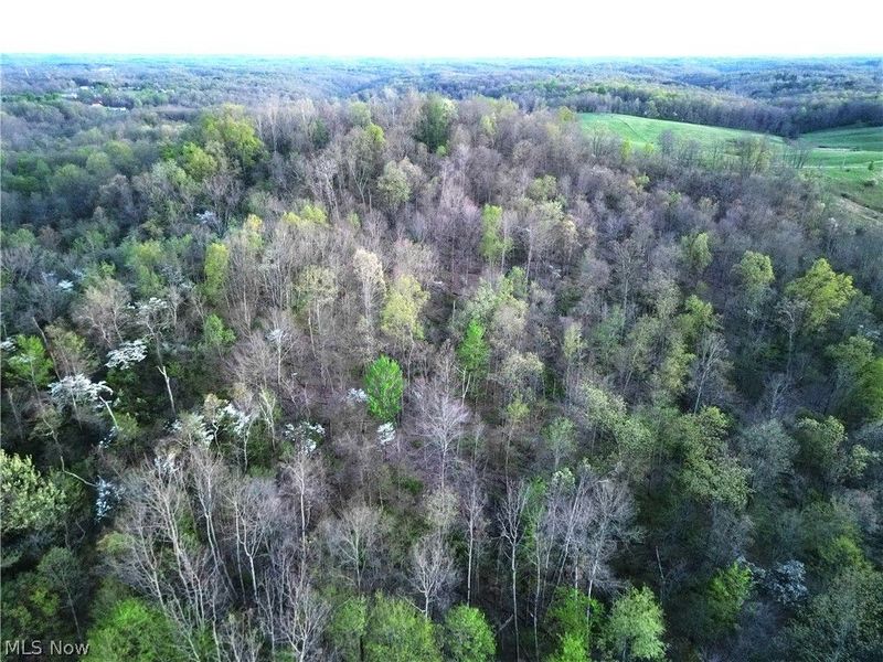 ZANE Road, Lore City, OH 43755 Photo 2