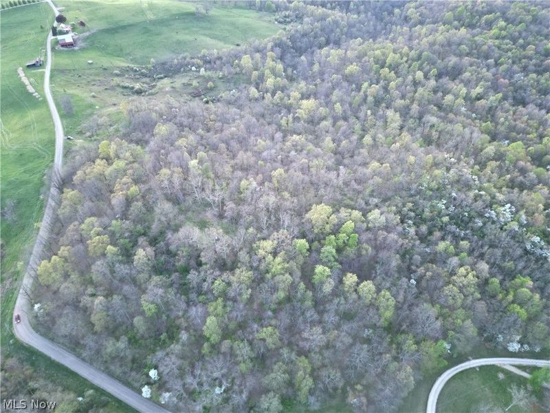 ZANE Road, Lore City, OH 43755 Photo 4