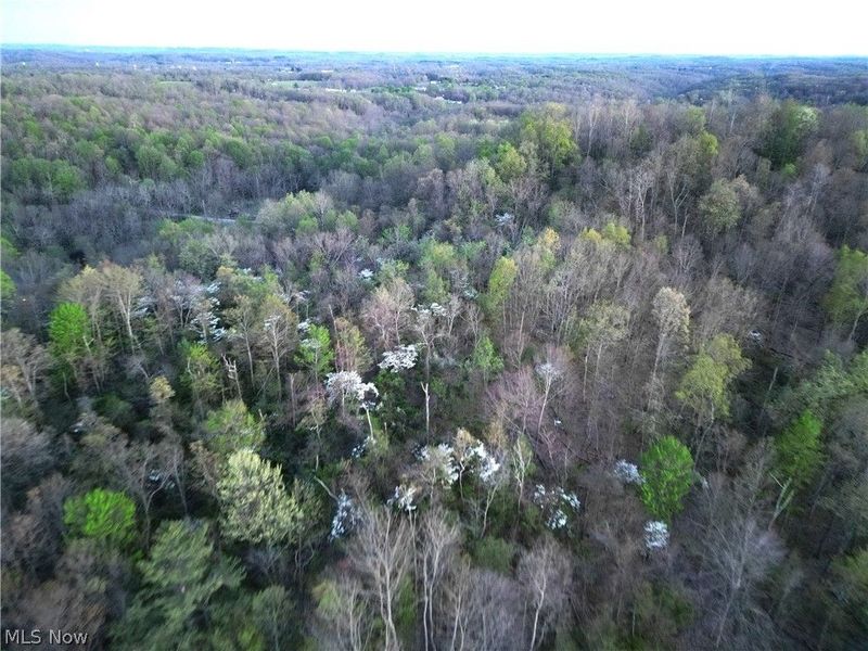 ZANE Road, Lore City, OH 43755 Photo 6