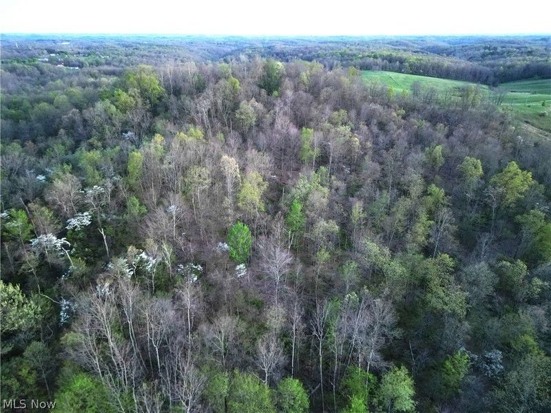 ZANE Road, Lore City, OH 43755 Photo 7