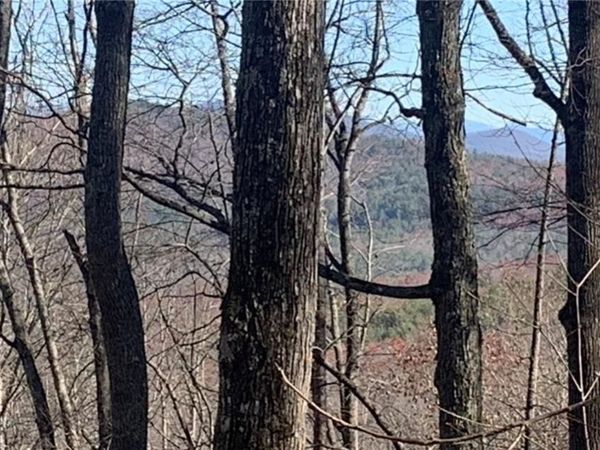 102 Badger Road , Blairsville, GA 30512