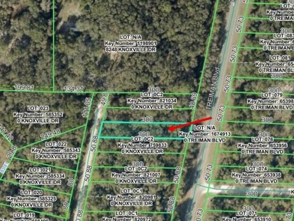 KNOXVILLE DRIVE , WEBSTER, FL 33597