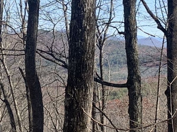 102 Badger Road, Blairsville, GA 30512