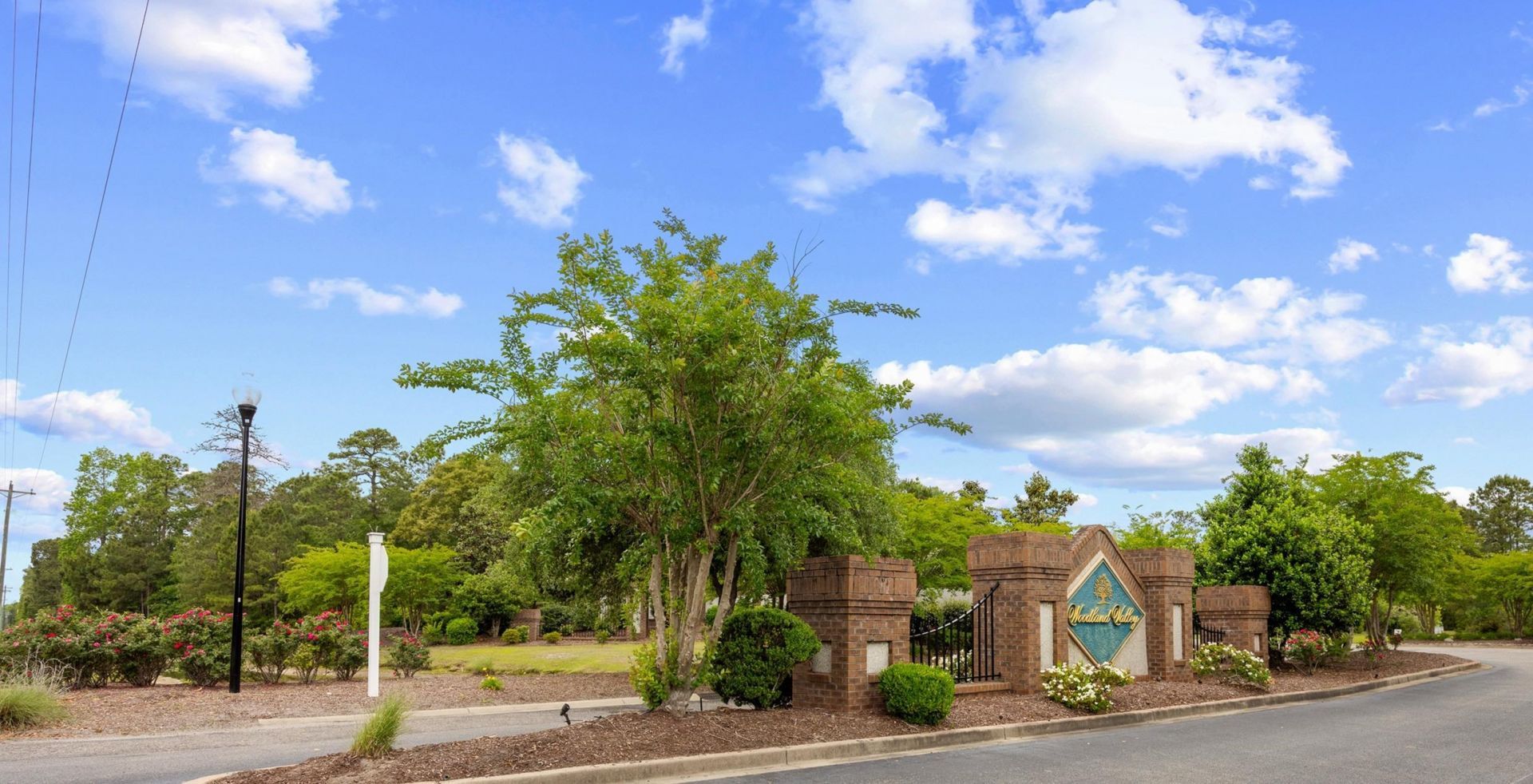 386 Long Meadow Dr. Photo 58