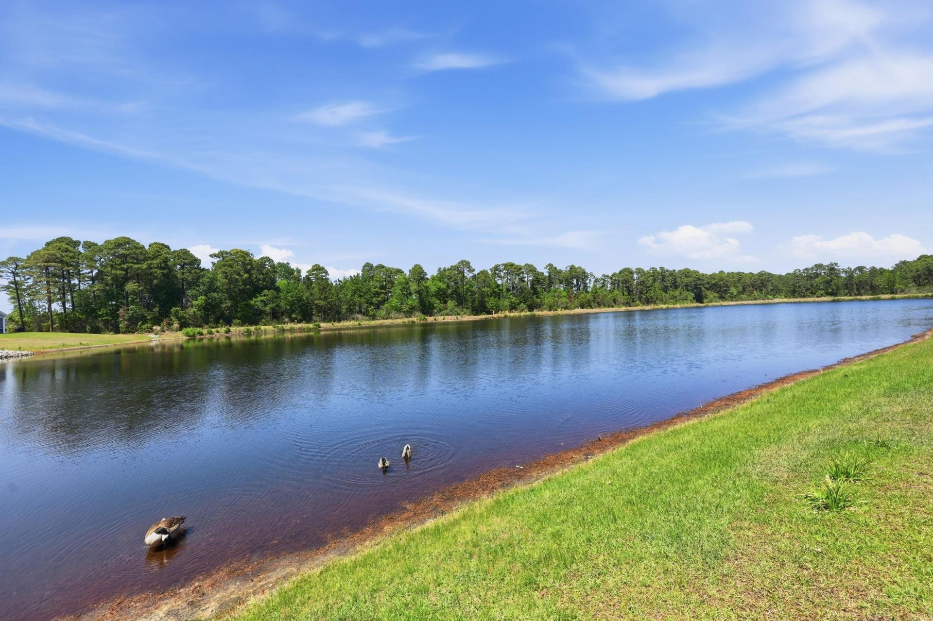 2023 Felicity Pl. Photo 40