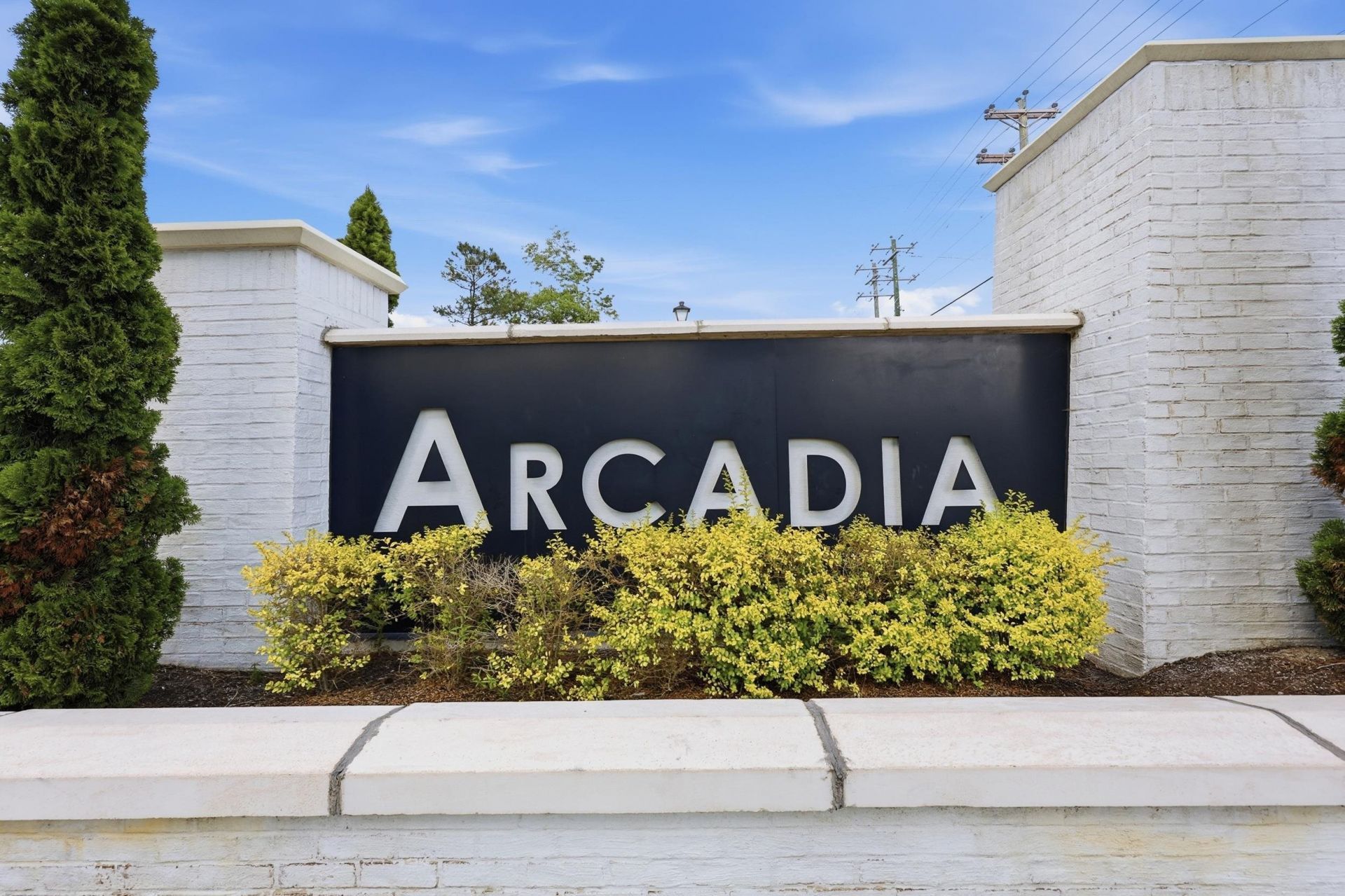 2023 Felicity Pl. Photo 44