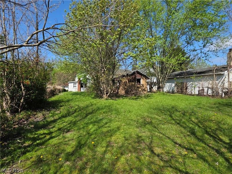 447 S Diamond Street, Ravenna, OH 44266 Photo 3