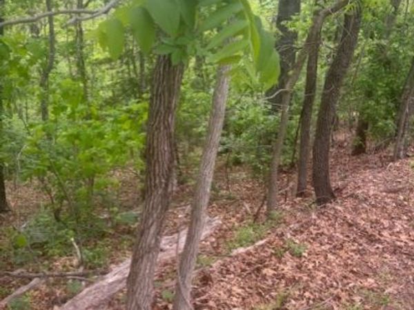 Lot 8 Deddington Drive , Bella Vista, AR 72714