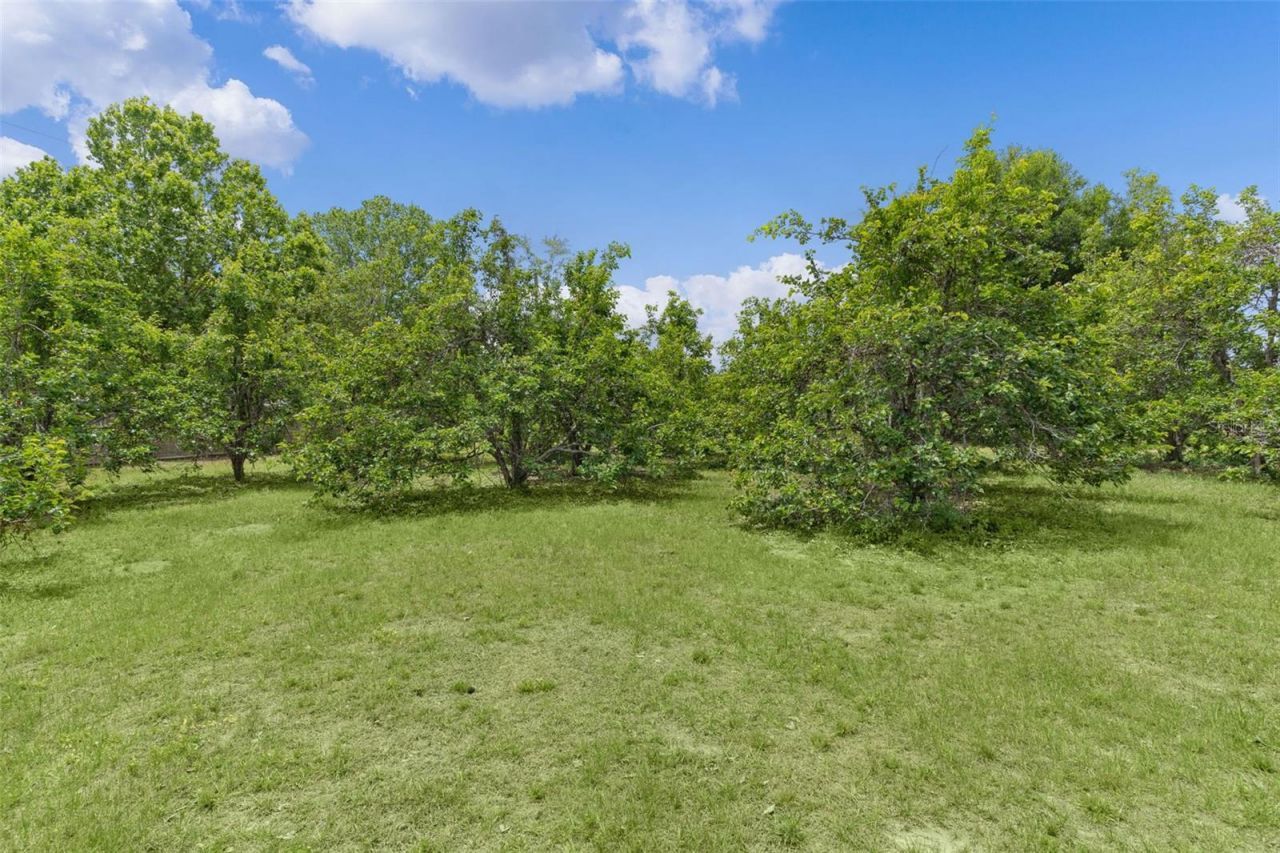 5946 Sr 471, Bushnell, FL 33513 Photo