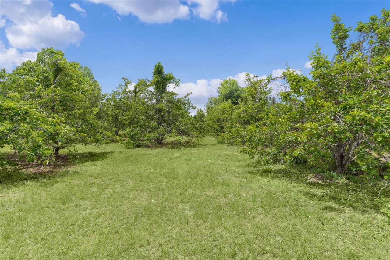 5946 Sr 471, Bushnell, FL 33513 Photo