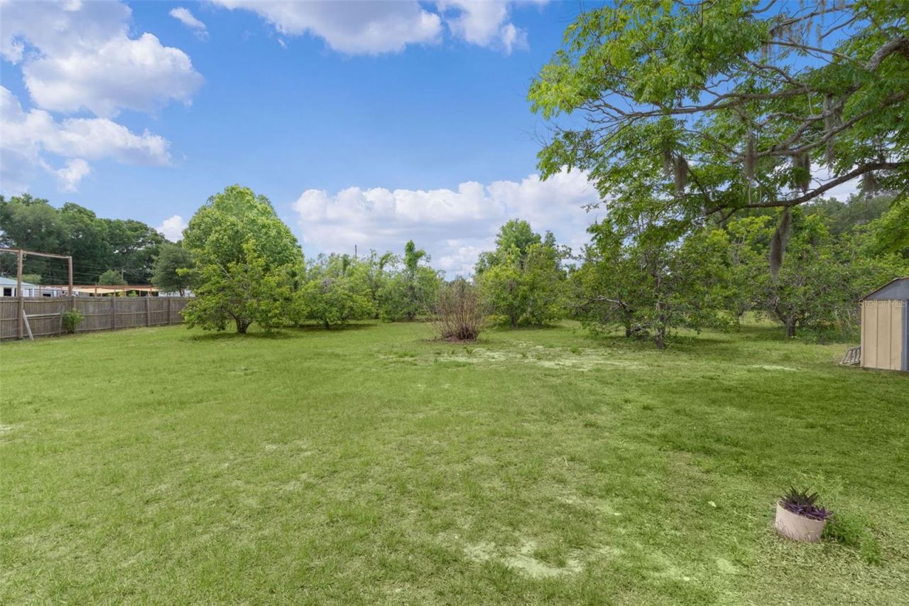 5946 Sr 471, Bushnell, FL 33513 Photo