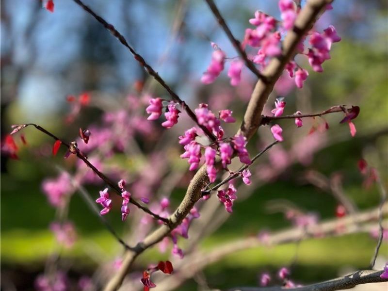 211 Square Drive, Madison, OH 44057 Photo 16