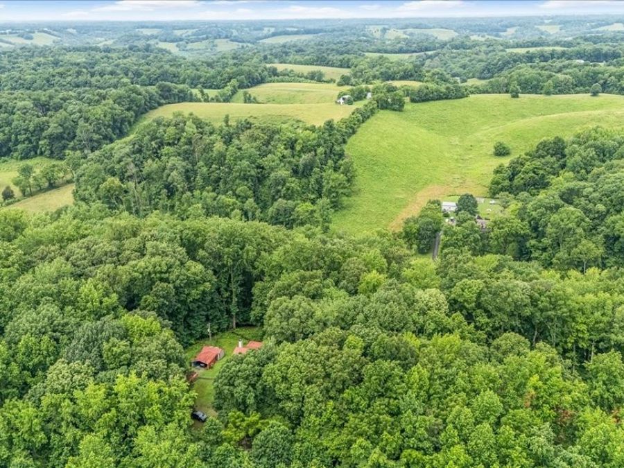 Property Image 36