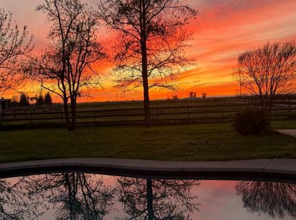 11320 Colony Rd, Wilton, CA 95693 Photo