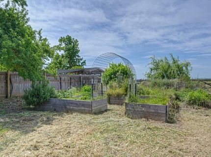 11320 Colony Rd, Wilton, CA 95693 Photo