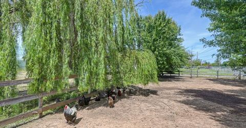 11320 Colony Rd, Wilton, CA 95693 Photo