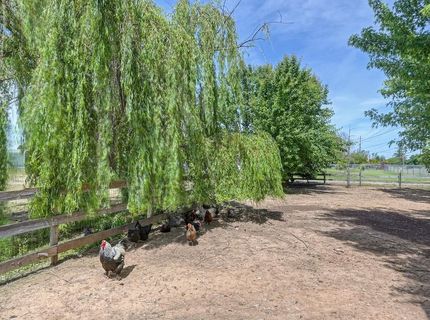 11320 Colony Rd, Wilton, CA 95693 Photo