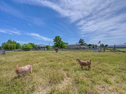 11320 Colony Rd, Wilton, CA 95693 Photo