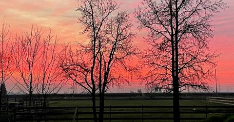 11320 Colony Rd, Wilton, CA 95693 Photo