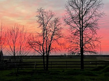 11320 Colony Rd, Wilton, CA 95693 Photo