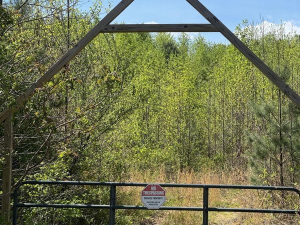 Coon Hollow Rd, Sunbright, TN 37872