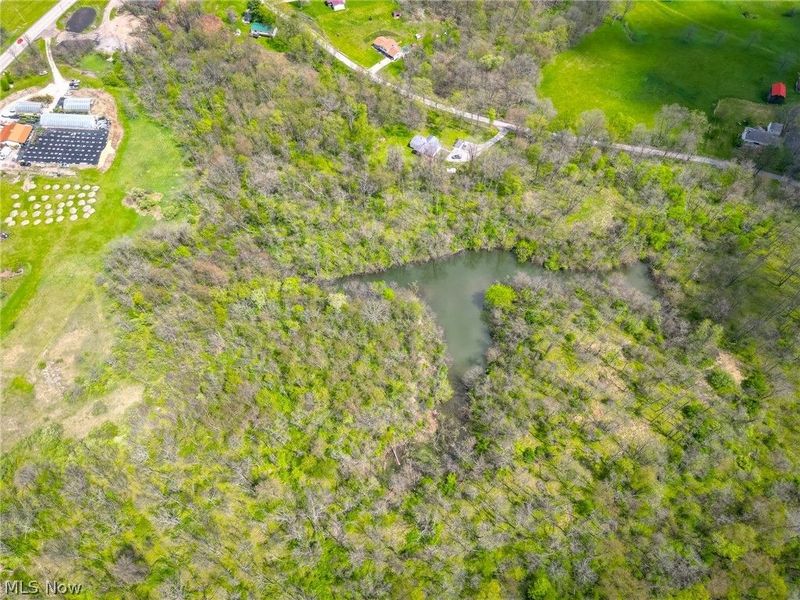 205 Township Road 216, Richmond, OH 43944 Photo 5