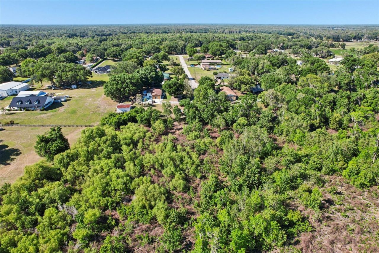 8904 Clayton Lane, Lakeland, FL 33809 Photo