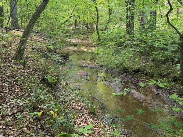 0 Overstone Drive , Rutherfordton, NC 28139