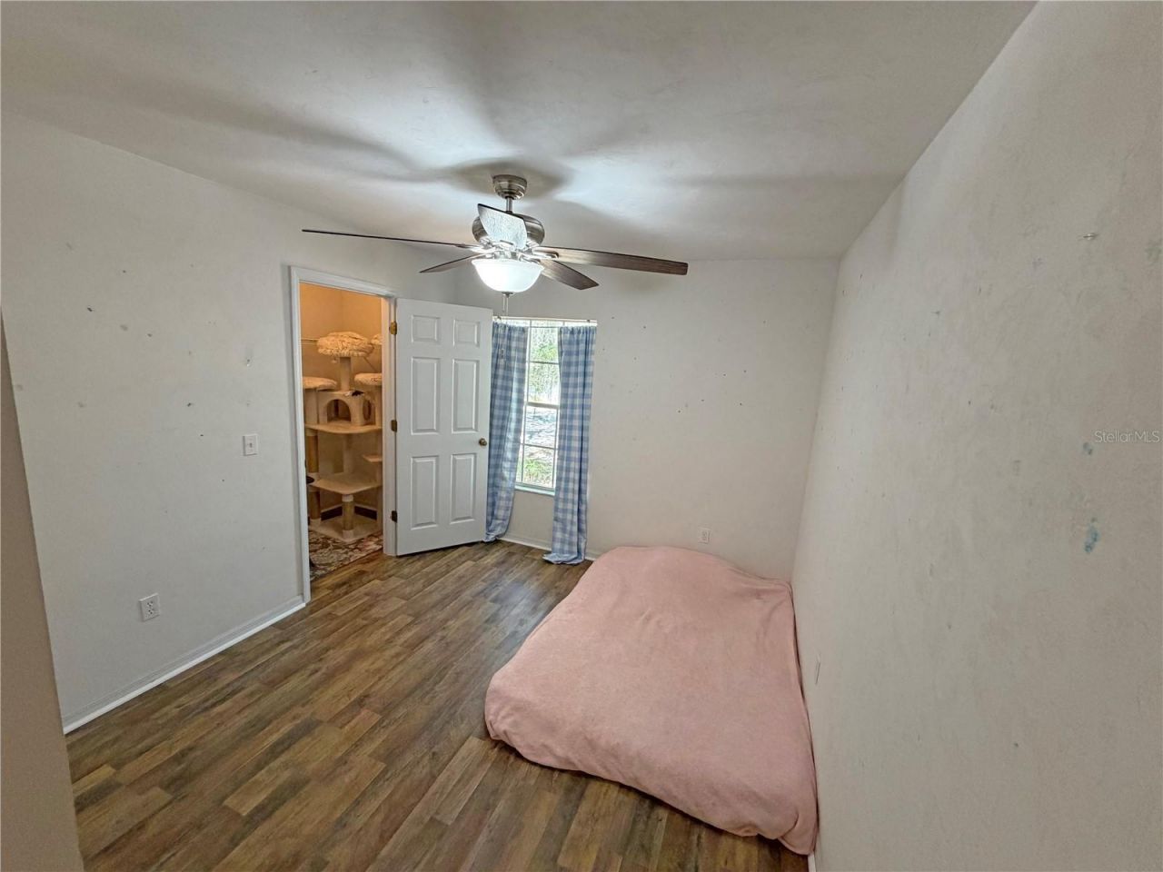 22921 SE 60th Lane, Hawthorne, FL 32640 Photo