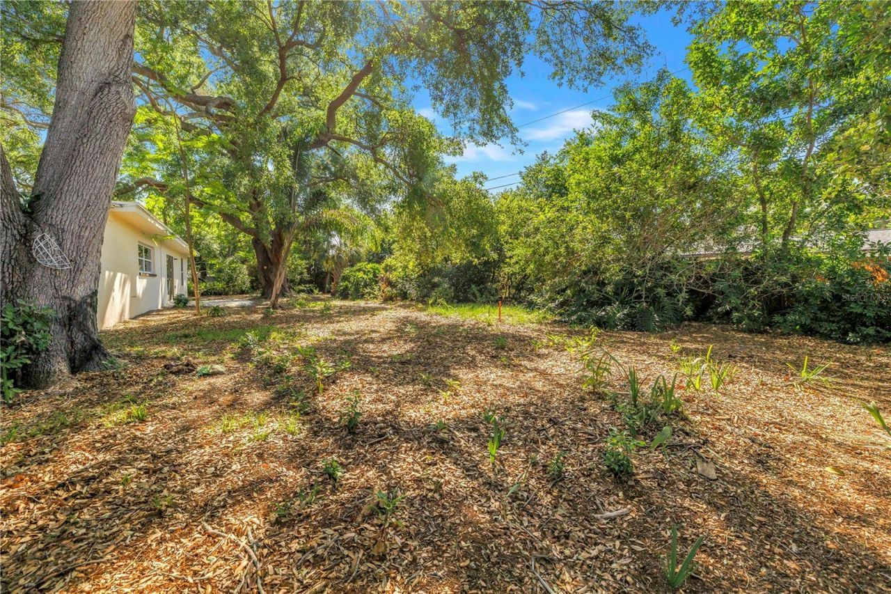 2161 NE Hillwood Court, Clearwater, FL 33763 Photo