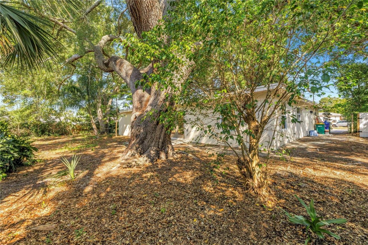 2161 NE Hillwood Court, Clearwater, FL 33763 Photo