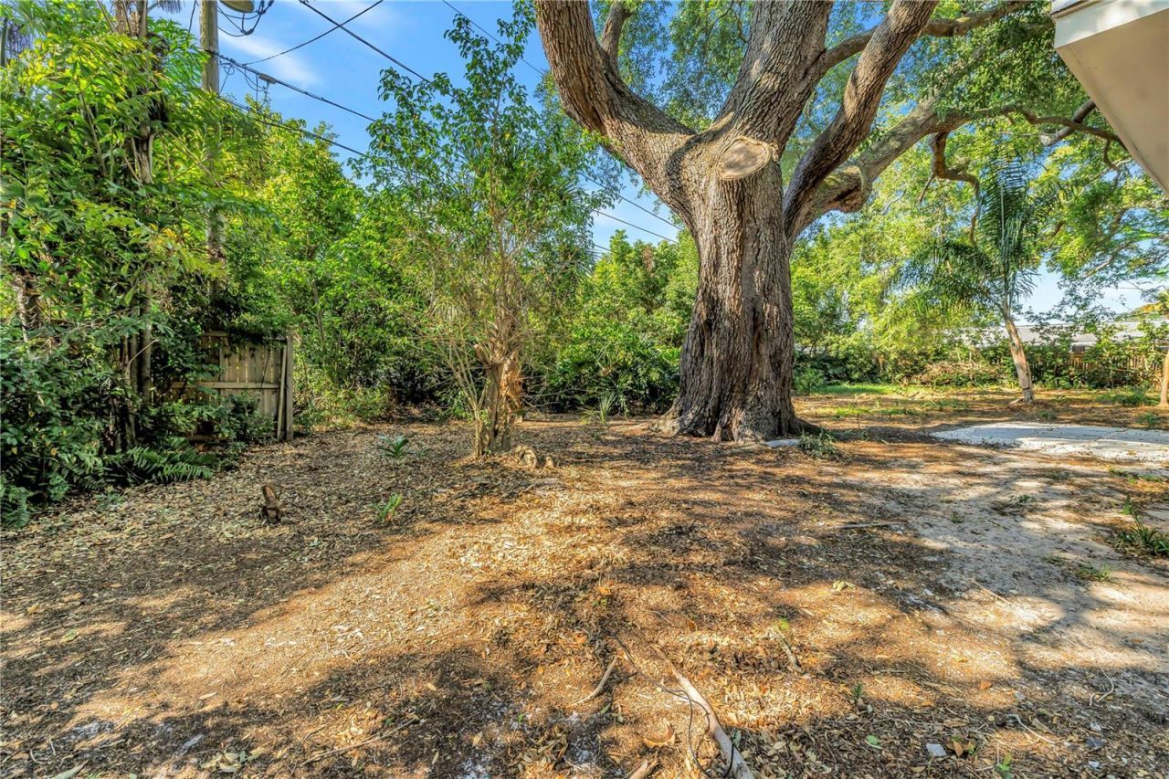 2161 NE Hillwood Court, Clearwater, FL 33763 Photo