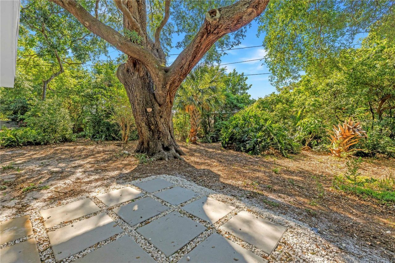 2161 NE Hillwood Court, Clearwater, FL 33763 Photo