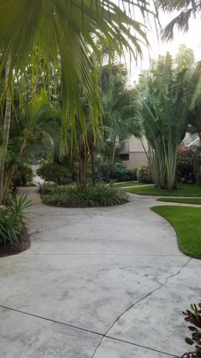 600 Executive Center Drive, Unit 212, West Palm Beach, FL 33401 Photo