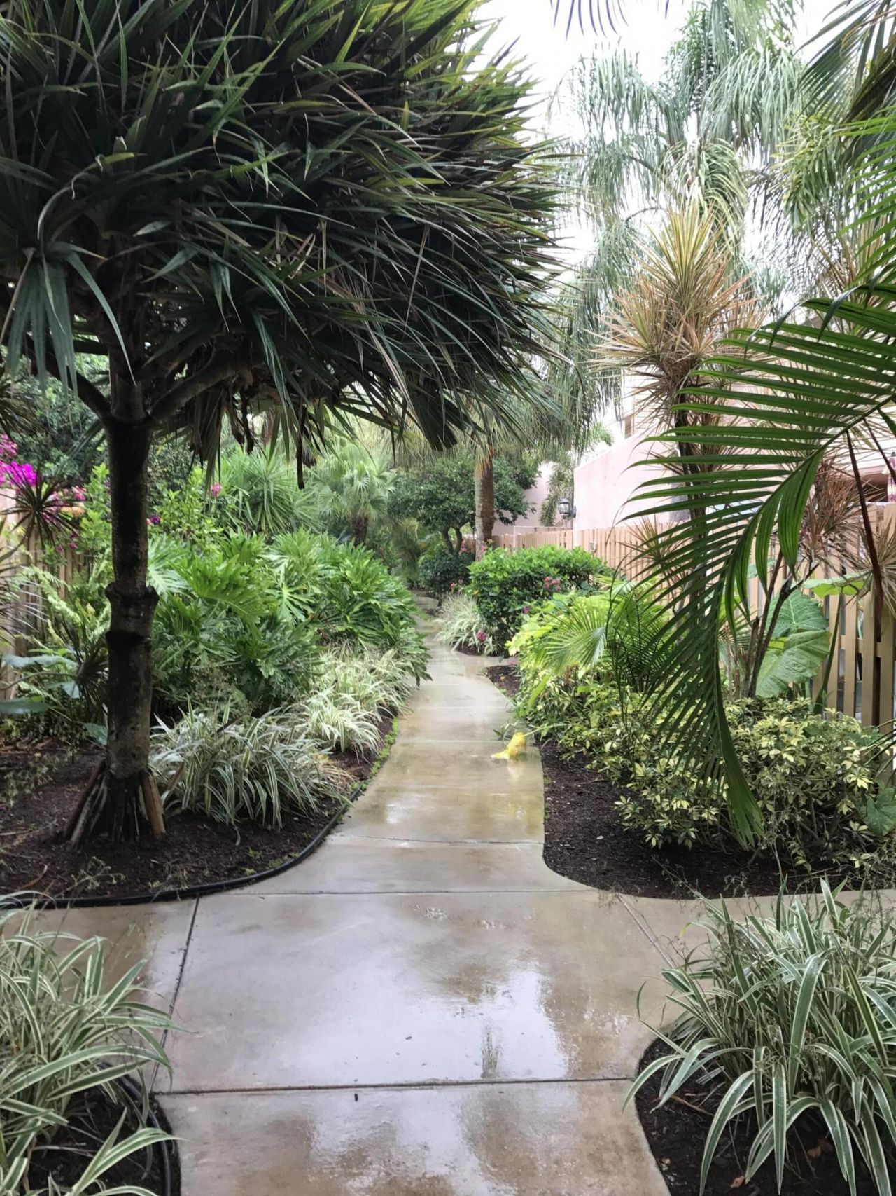 600 Executive Center Drive, Unit 212, West Palm Beach, FL 33401 Photo