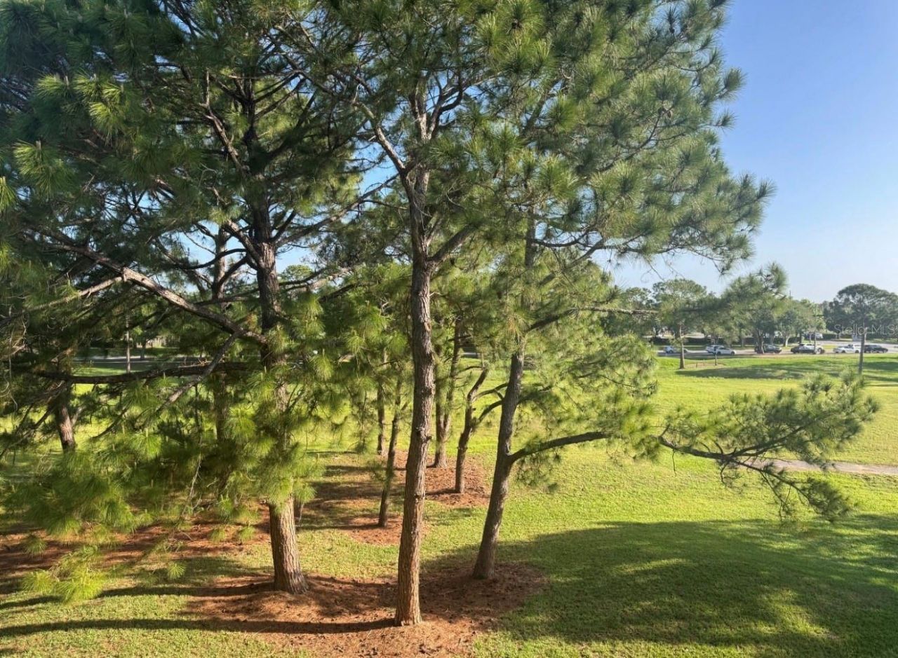 13953 Fairway Island Drive, Unit 633, Orlando, FL 32837 Photo