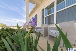 3758 Alligator Rd. photo 4