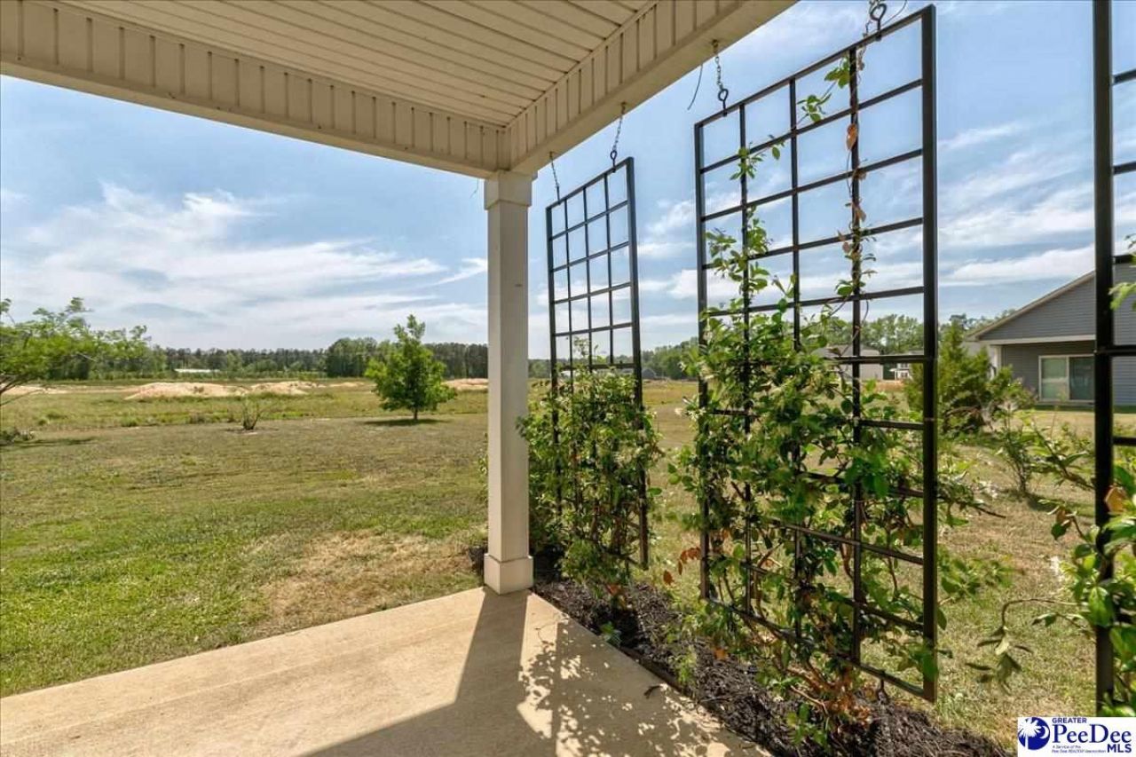 3758 Alligator Rd. Photo 37