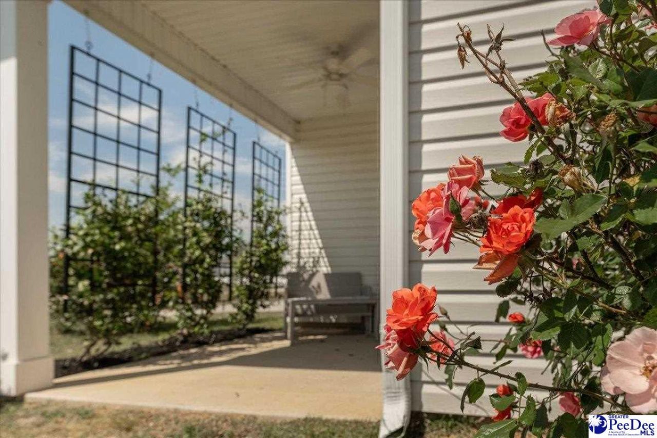 3758 Alligator Rd. Photo 39