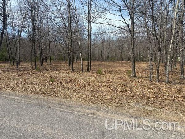 62 Oak Drive Avenue, Brampton Twp, MI 49837