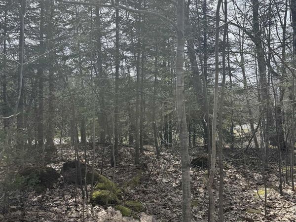 TBD 4-10 Firesteel Road, Ontonagon Twp, MI 49953
