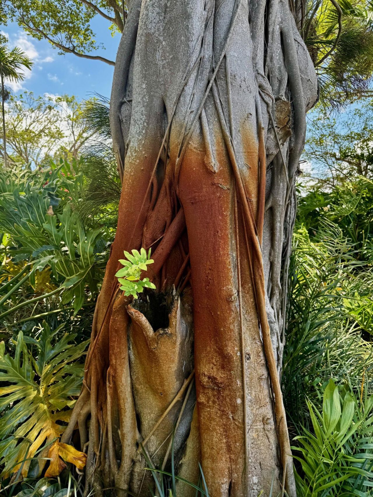 102 Half Moon Circle, Unit G2, Hypoluxo, FL 33462 Photo