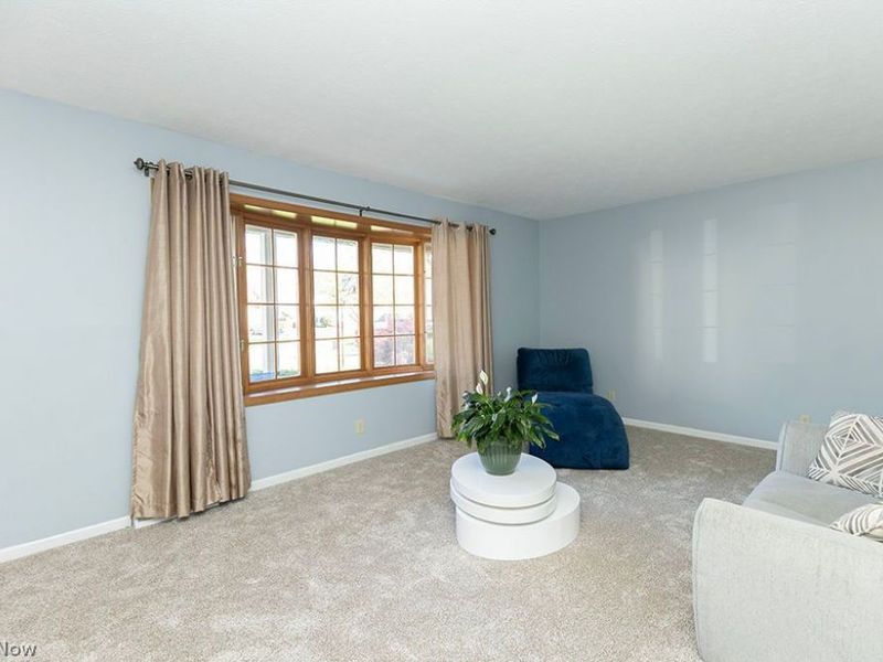 153 Xavier Street, Elyria, OH 44035 Photo 18