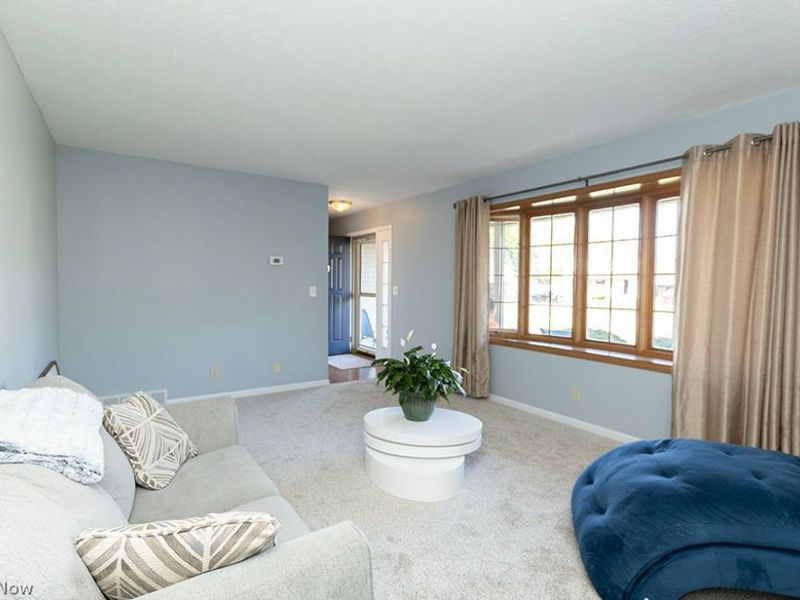 153 Xavier Street, Elyria, OH 44035 Photo 19