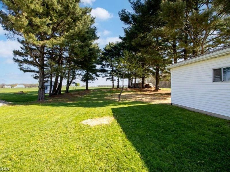 8633 Ashland Road, Wooster, OH 44691 Photo 5